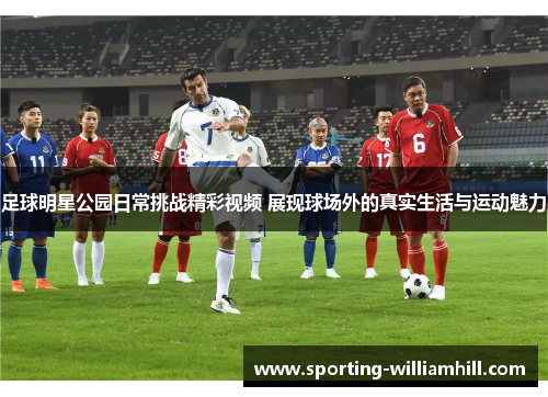 足球明星公园日常挑战精彩视频 展现球场外的真实生活与运动魅力 足球明星公园日常挑战精彩视频 展现球场外的真实生活与运动魅力