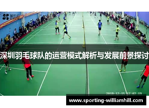 深圳羽毛球队的运营模式解析与发展前景探讨